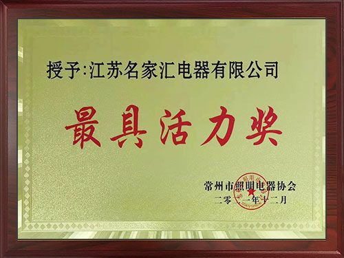 Most dynamic Award