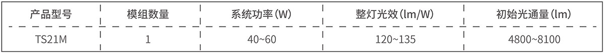 TS21M-1.jpg